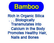 CLICK HERE for BAMBOO